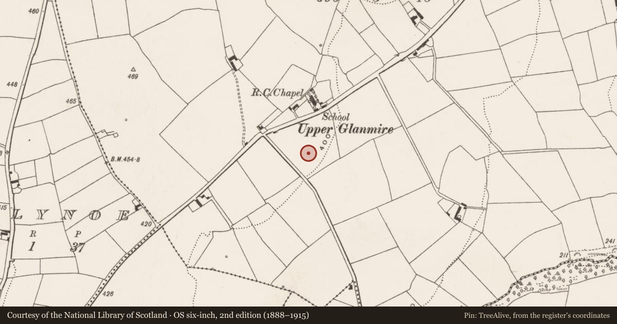 Ordnance Survey six-inch map, 2nd edition (1888–1915) covering the location of Standing stone, Ballinvriskig, County Cork, with a pin at the register's coordinates