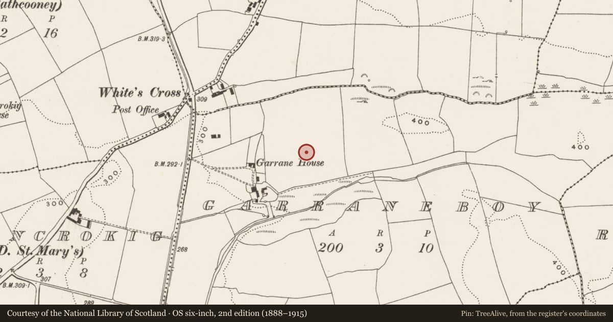 Ordnance Survey six-inch map, 2nd edition (1888–1915) covering the location of Standing stone, Garraneboy, County Cork, with a pin at the register's coordinates
