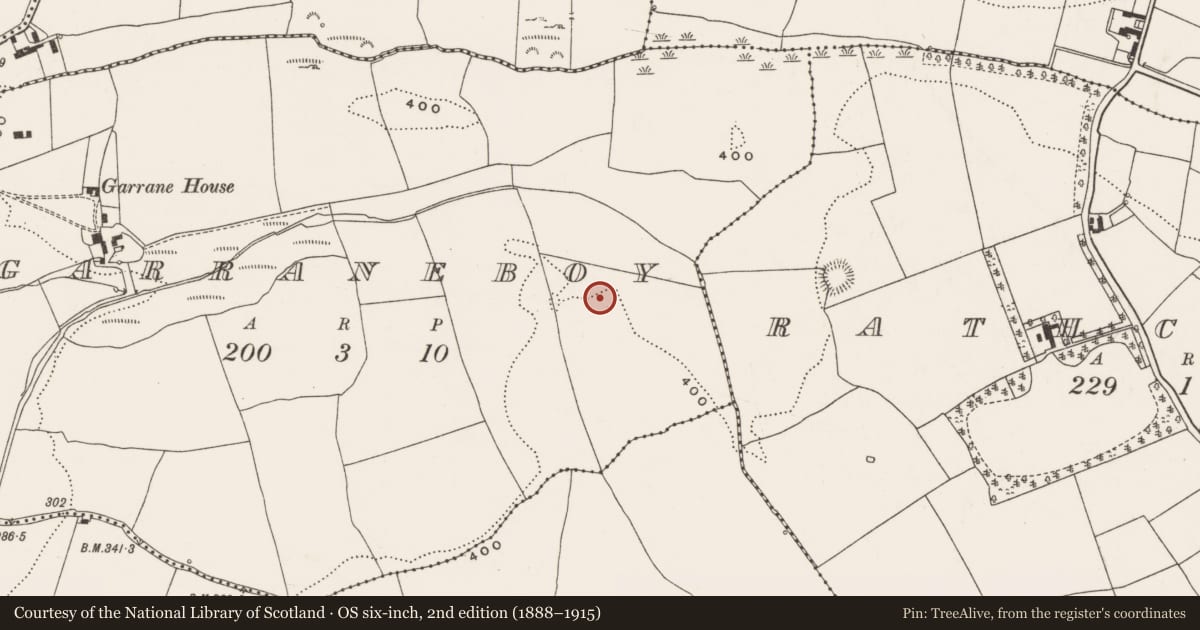 Ordnance Survey six-inch map, 2nd edition (1888–1915) covering the location of Standing stone, Garraneboy, County Cork, with a pin at the register's coordinates
