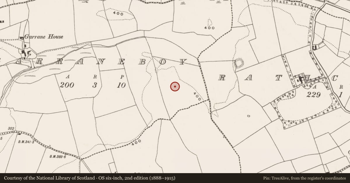 Ordnance Survey six-inch map, 2nd edition (1888–1915) covering the location of Standing stone, Garraneboy, County Cork, with a pin at the register's coordinates