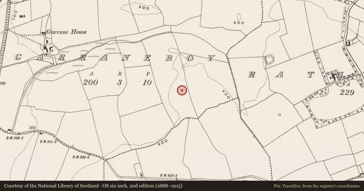 Ordnance Survey six-inch map, 2nd edition (1888–1915) covering the location of Ringfort - rath, Garraneboy, County Cork, with a pin at the register's coordinates
