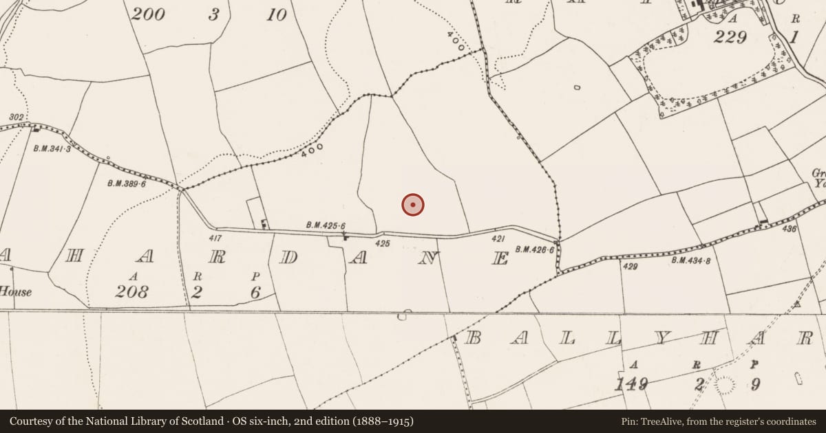 Ordnance Survey six-inch map, 2nd edition (1888–1915) covering the location of Standing stone, Lahardane, County Cork, with a pin at the register's coordinates
