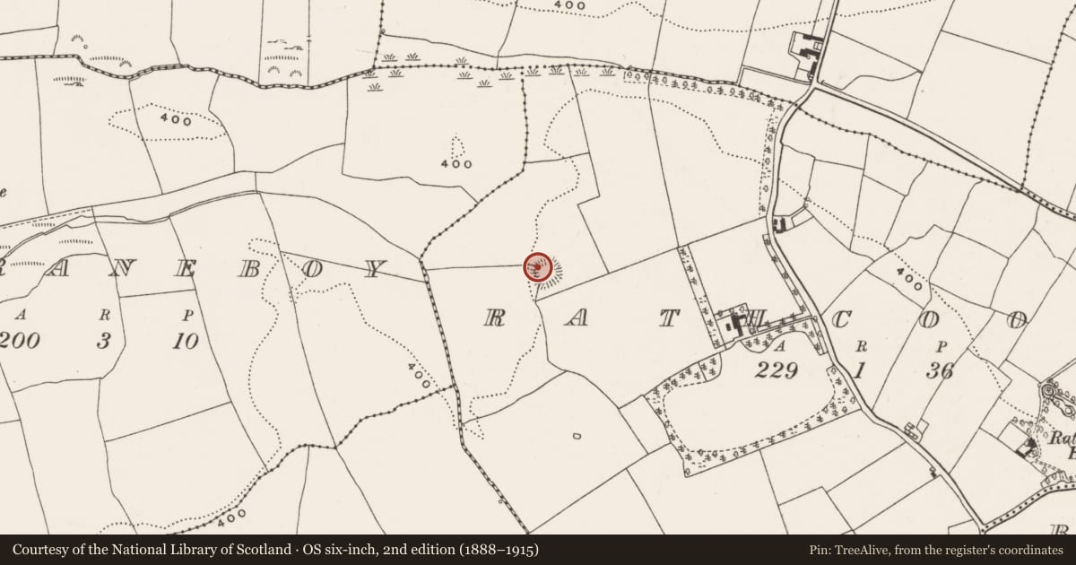 Ordnance Survey six-inch map, 2nd edition (1888–1915) covering the location of Ringfort - rath, Rathcooney, County Cork, with a pin at the register's coordinates