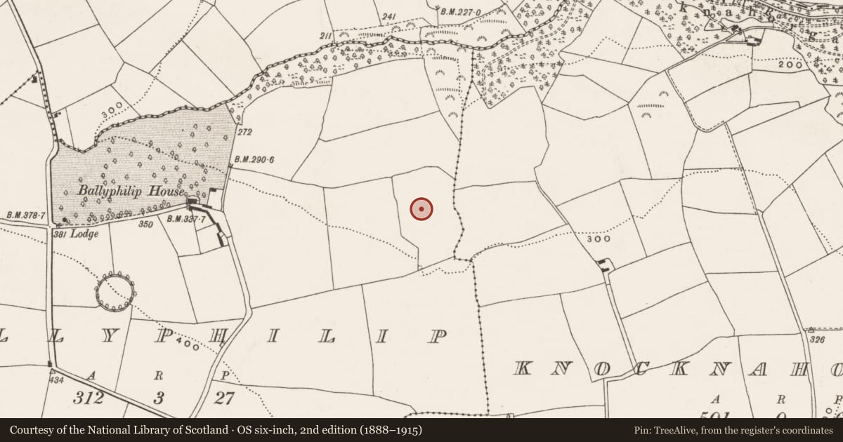 Ordnance Survey six-inch map, 2nd edition (1888–1915) covering the location of Standing stone, Ballyphilip, County Cork, with a pin at the register's coordinates