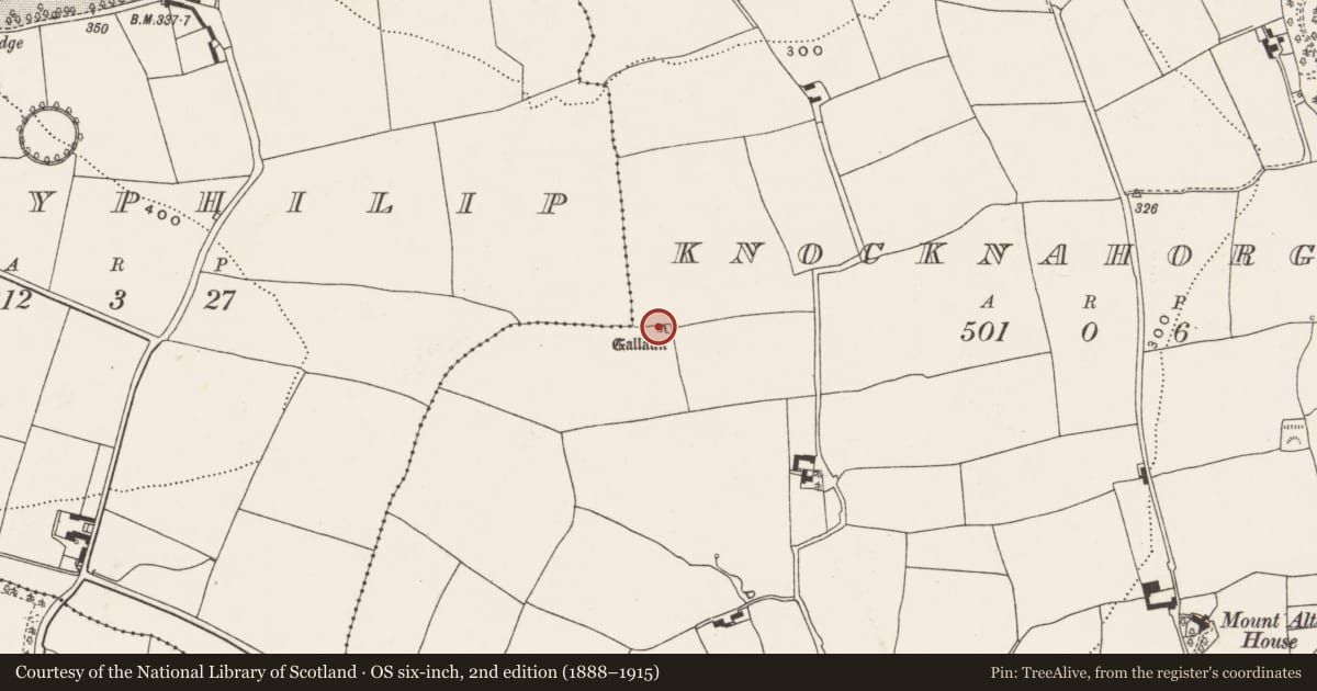 Ordnance Survey six-inch map, 2nd edition (1888–1915) covering the location of Standing stone, Knocknahorgan, County Cork, with a pin at the register's coordinates