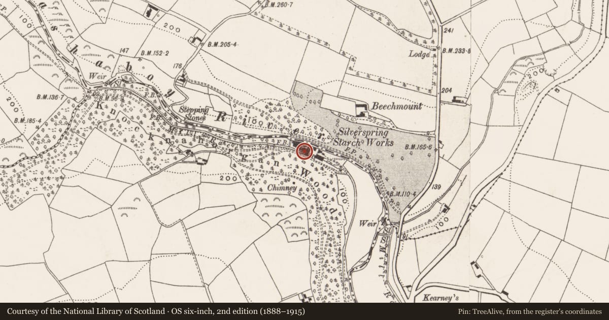 Ordnance Survey six-inch map, 2nd edition (1888–1915) covering the location of Mill - cloth, Knocknahorgan, County Cork, with a pin at the register's coordinates