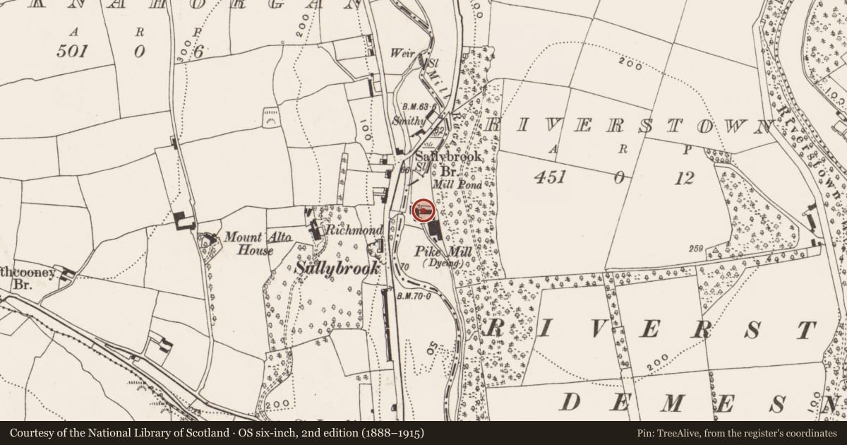 Ordnance Survey six-inch map, 2nd edition (1888–1915) covering the location of Mill - cloth, Riverstown, County Cork, with a pin at the register's coordinates