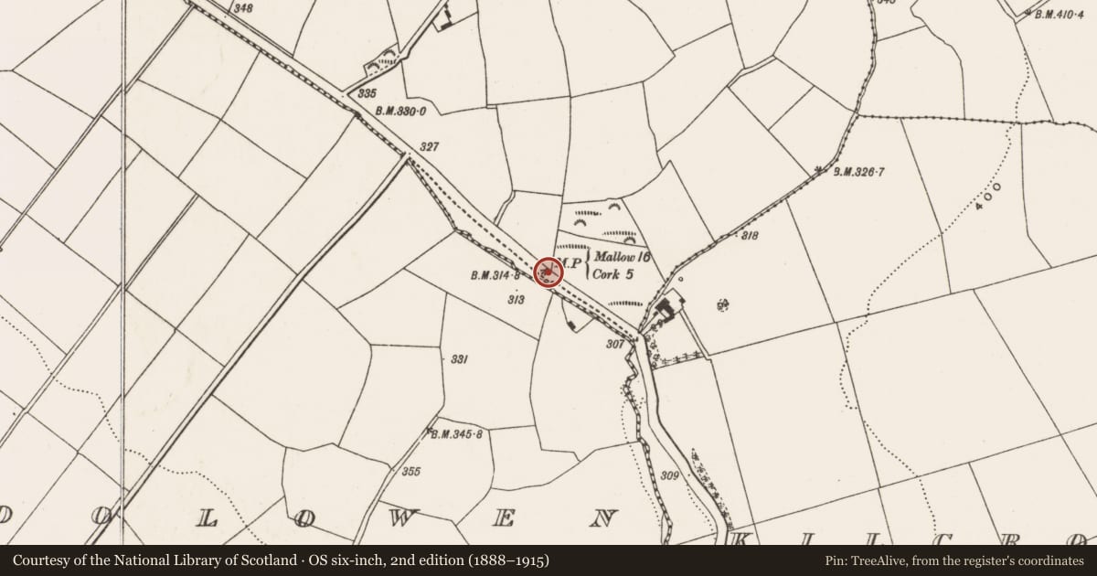 Ordnance Survey six-inch map, 2nd edition (1888–1915) covering the location of Milestone, Farranastig, County Cork, with a pin at the register's coordinates