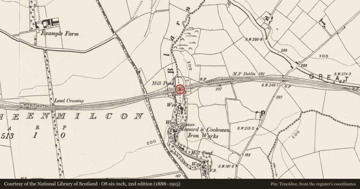 Ordnance Survey six-inch map, 2nd edition (1888–1915) covering the location of Railway bridge, Coolowen, Monard, County Cork, with a pin at the register's coordinates