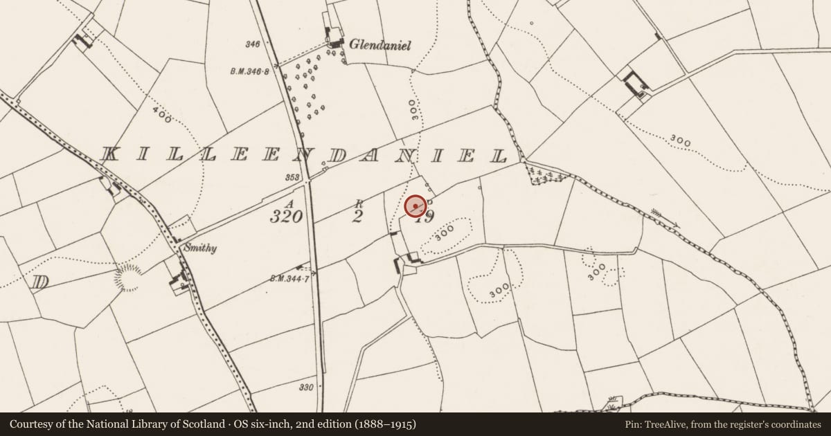 Ordnance Survey six-inch map, 2nd edition (1888–1915) covering the location of Burnt mound, Killeendaniel, County Cork, with a pin at the register's coordinates