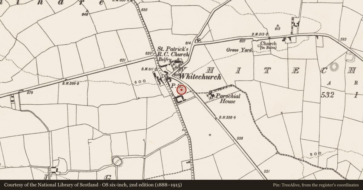 Ordnance Survey six-inch map, 2nd edition (1888–1915) covering the location of Standing stone, Whitechurch, County Cork, with a pin at the register's coordinates