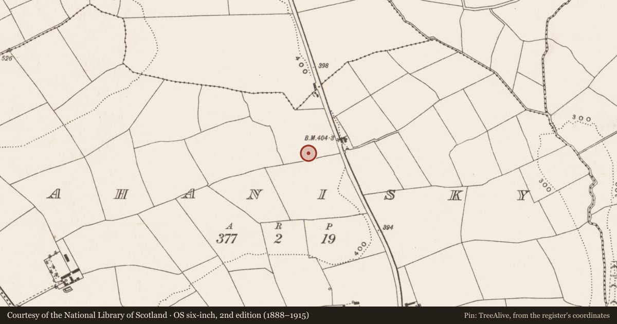 Ordnance Survey six-inch map, 2nd edition (1888–1915) covering the location of Standing stone, Rahanisky, County Cork, with a pin at the register's coordinates