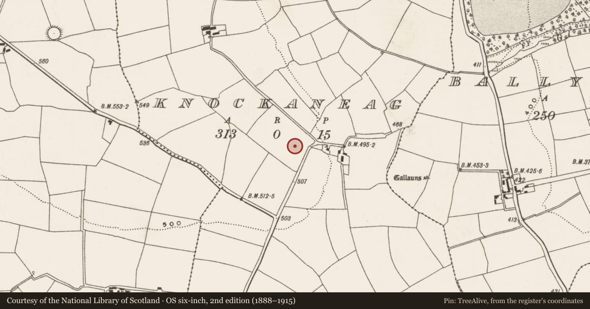 Ordnance Survey six-inch map, 2nd edition (1888–1915) covering the location of Standing stone, Knockaneag, County Cork, with a pin at the register's coordinates