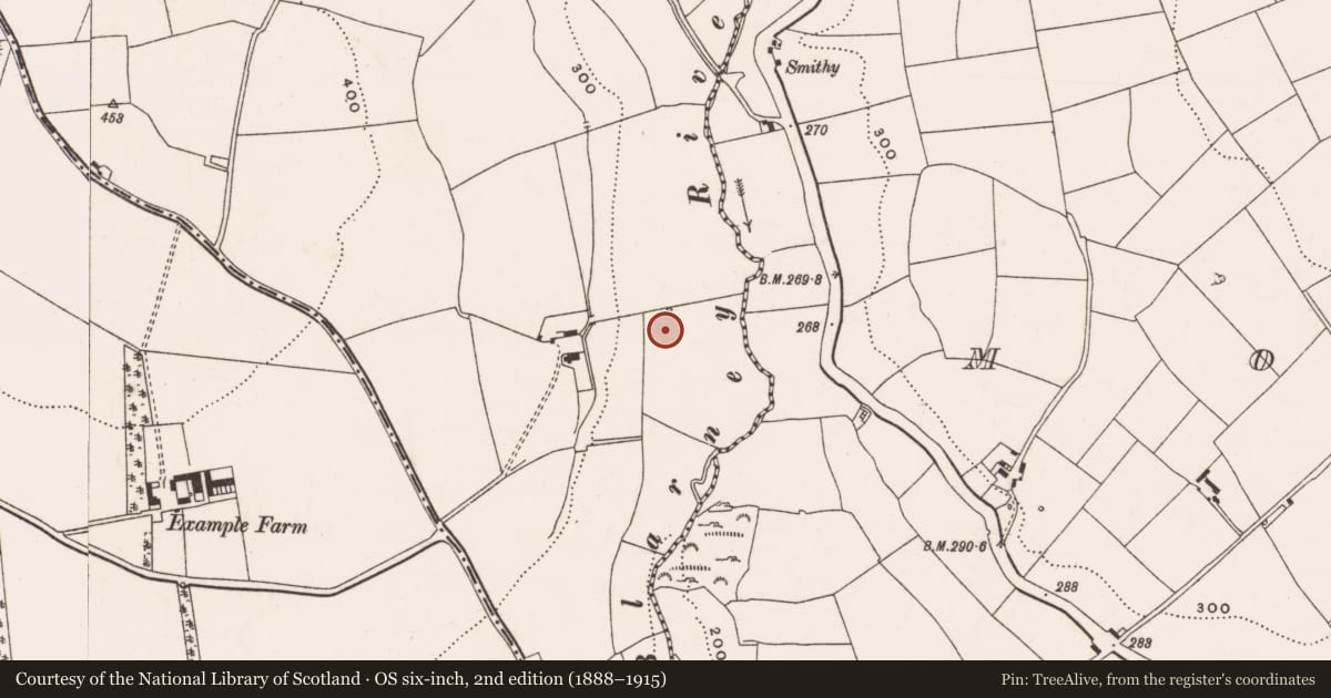 Ordnance Survey six-inch map, 2nd edition (1888–1915) covering the location of Fulacht fia, Coolowen, County Cork, with a pin at the register's coordinates