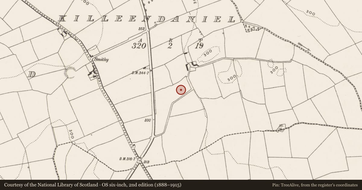 Ordnance Survey six-inch map, 2nd edition (1888–1915) covering the location of Burnt mound, Killeendaniel, County Cork, with a pin at the register's coordinates