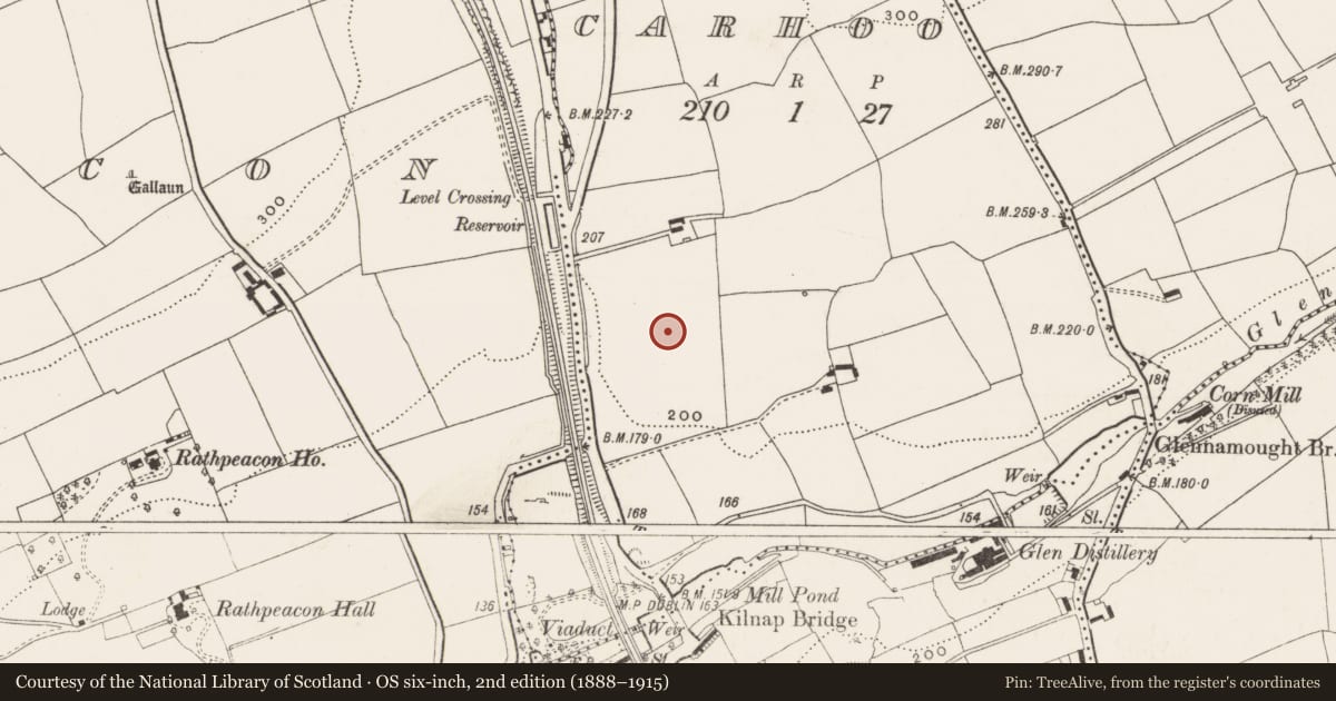 Ordnance Survey six-inch map, 2nd edition (1888–1915) covering the location of Standing stone, Carhoo, County Cork, with a pin at the register's coordinates
