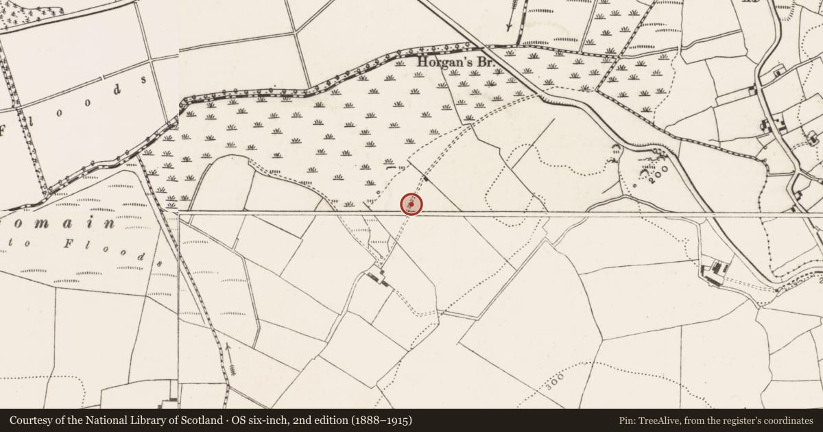 Ordnance Survey six-inch map, 2nd edition (1888–1915) covering the location of Fulacht fia, Killeens, County Cork, with a pin at the register's coordinates