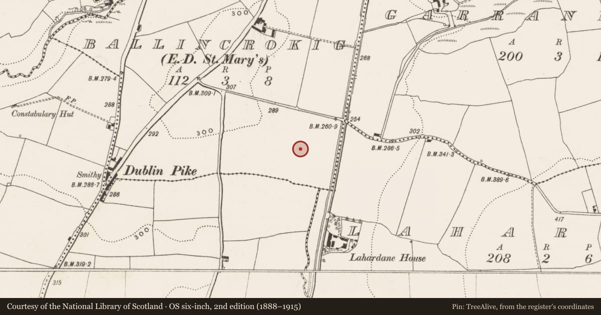 Ordnance Survey six-inch map, 2nd edition (1888–1915) covering the location of Ringfort - rath, Ballincrokig (Cork By., St. Anne’s Shandon Par.), County Cork, with a pin at the register's coordinates