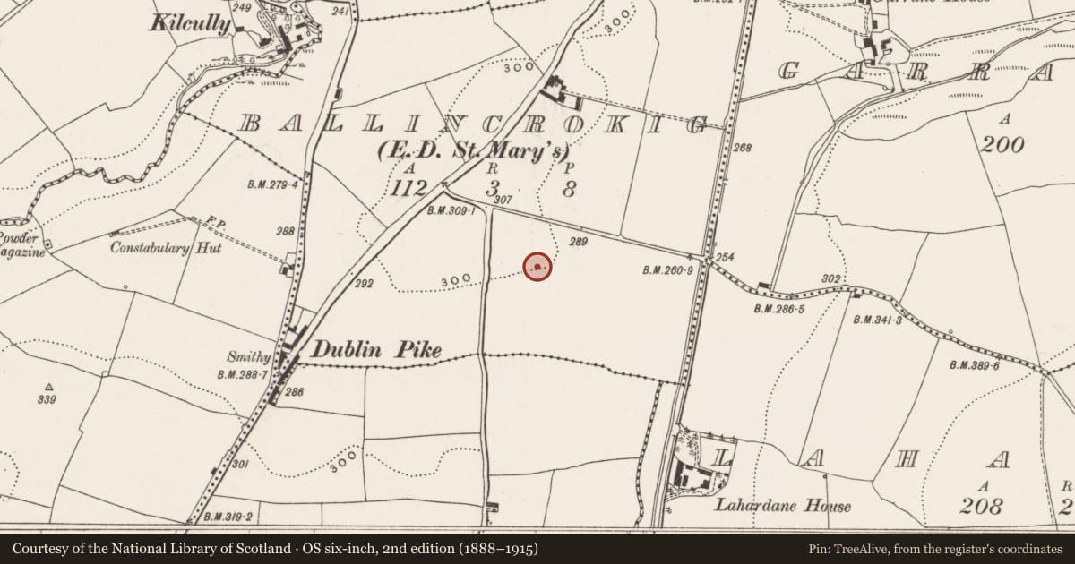 Ordnance Survey six-inch map, 2nd edition (1888–1915) covering the location of Souterrain, Ballincrokig (Cork By., St. Anne’s Shandon Par.), County Cork, with a pin at the register's coordinates