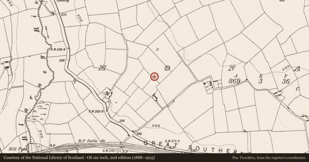 Ordnance Survey six-inch map, 2nd edition (1888–1915) covering the location of Fulacht fia, Monard, County Cork, with a pin at the register's coordinates