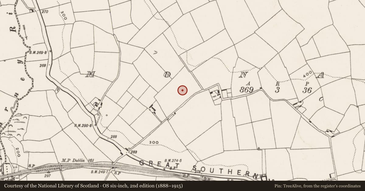 Ordnance Survey six-inch map, 2nd edition (1888–1915) covering the location of Standing stone, Monard, County Cork, with a pin at the register's coordinates