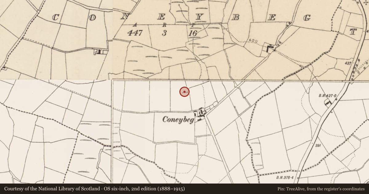 Ordnance Survey six-inch map, 2nd edition (1888–1915) covering the location of Enclosure, Coneybeg, County Cork, with a pin at the register's coordinates