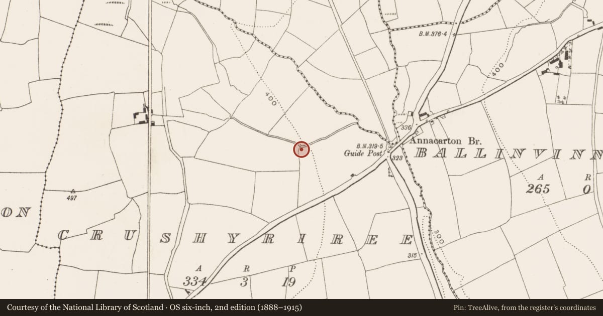 Ordnance Survey six-inch map, 2nd edition (1888–1915) covering the location of Ringfort - rath, Crushyriree, County Cork, with a pin at the register's coordinates