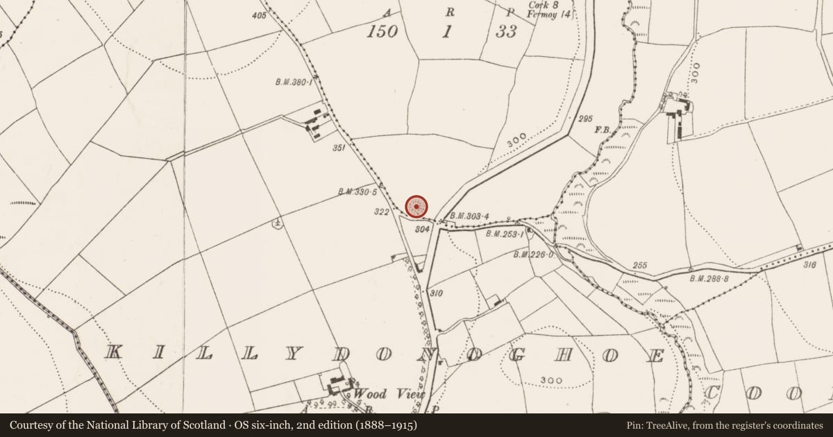 Ordnance Survey six-inch map, 2nd edition (1888–1915) covering the location of Ringfort - rath, Killalough, County Cork, with a pin at the register's coordinates
