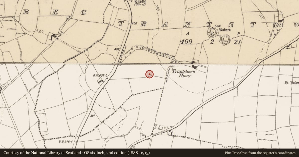 Ordnance Survey six-inch map, 2nd edition (1888–1915) covering the location of Kiln - lime, Trantstown, County Cork, with a pin at the register's coordinates
