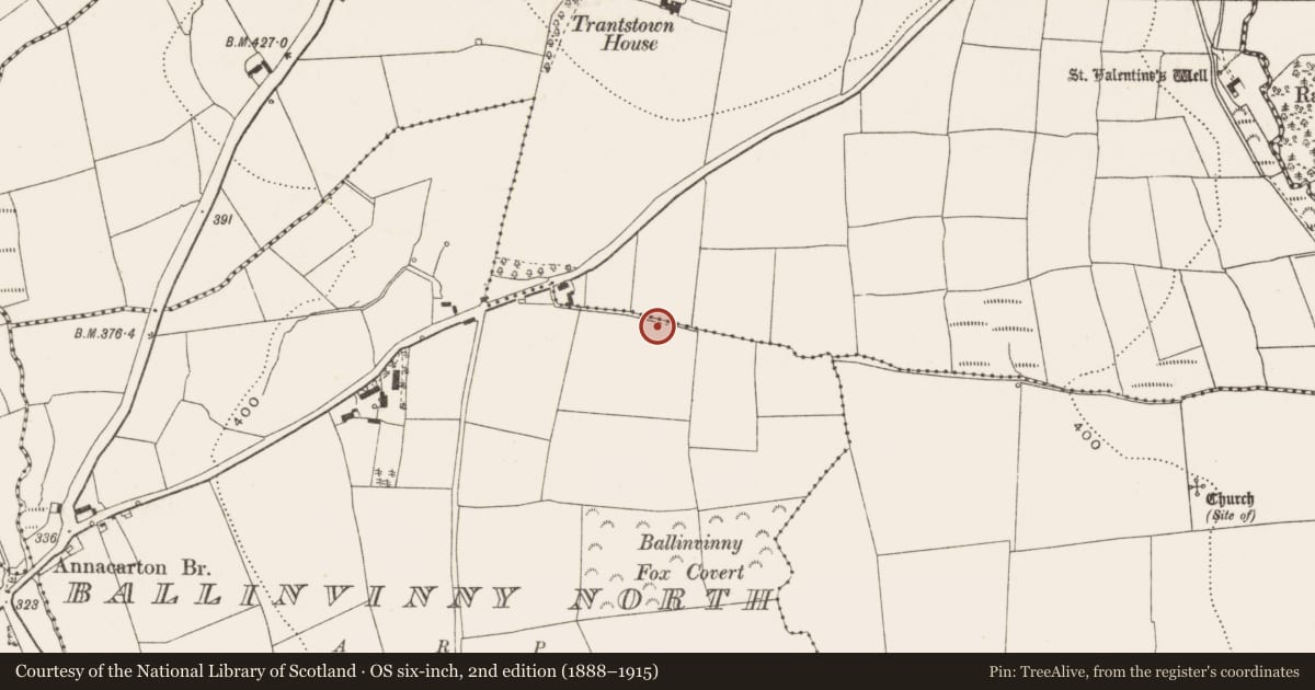 Ordnance Survey six-inch map, 2nd edition (1888–1915) covering the location of Ringfort - rath, Ballinvinny North, County Cork, with a pin at the register's coordinates