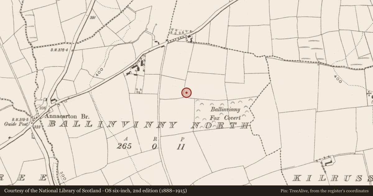 Ordnance Survey six-inch map, 2nd edition (1888–1915) covering the location of Enclosure, Ballinvinny North, County Cork, with a pin at the register's coordinates