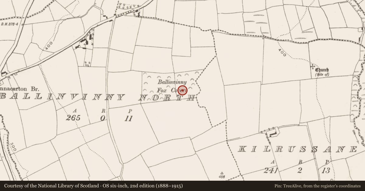 Ordnance Survey six-inch map, 2nd edition (1888–1915) covering the location of Ringfort - rath, Ballinvinny North, County Cork, with a pin at the register's coordinates