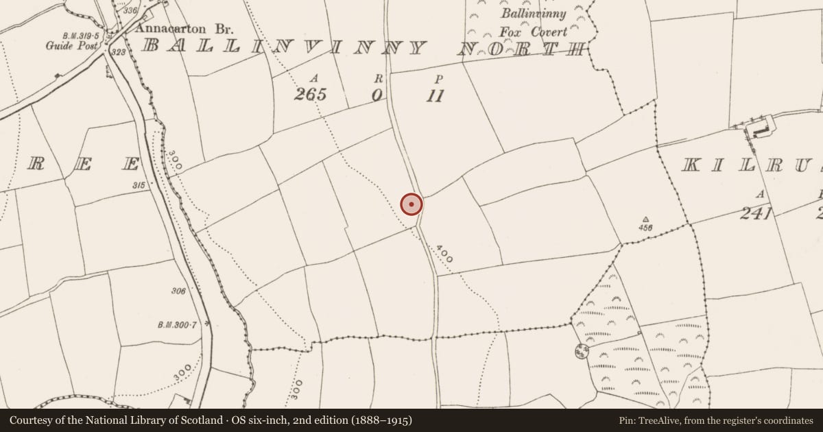 Ordnance Survey six-inch map, 2nd edition (1888–1915) covering the location of Ringfort - rath, Ballinvinny North, County Cork, with a pin at the register's coordinates