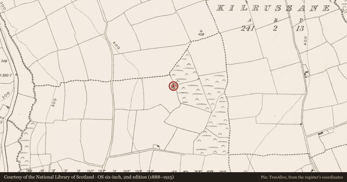 Ordnance Survey six-inch map, 2nd edition (1888–1915) covering the location of Ringfort - rath, Ballinvinny South, County Cork, with a pin at the register's coordinates
