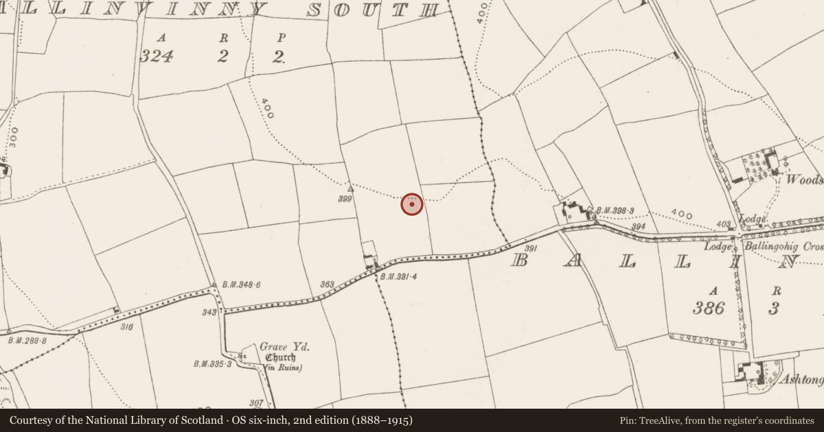 Ordnance Survey six-inch map, 2nd edition (1888–1915) covering the location of Ringfort - rath, Ballinvinny South, County Cork, with a pin at the register's coordinates