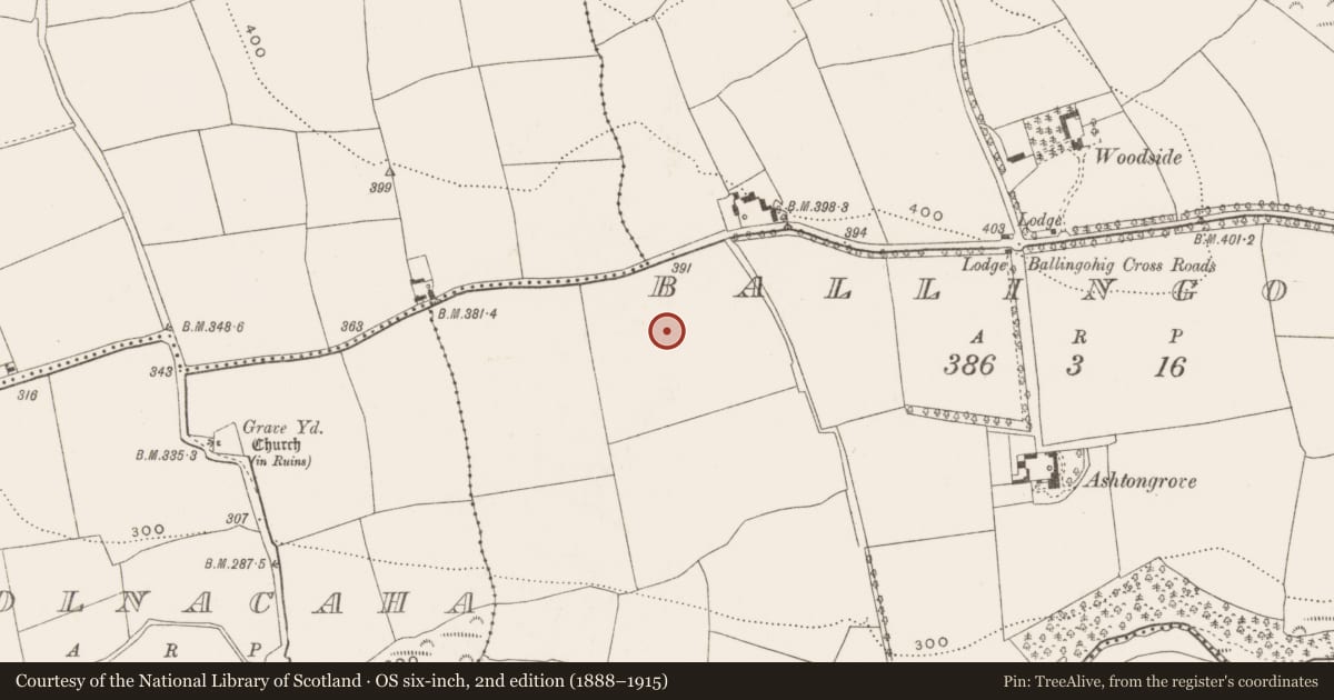 Ordnance Survey six-inch map, 2nd edition (1888–1915) covering the location of Ringfort - rath, Ballingohig, County Cork, with a pin at the register's coordinates