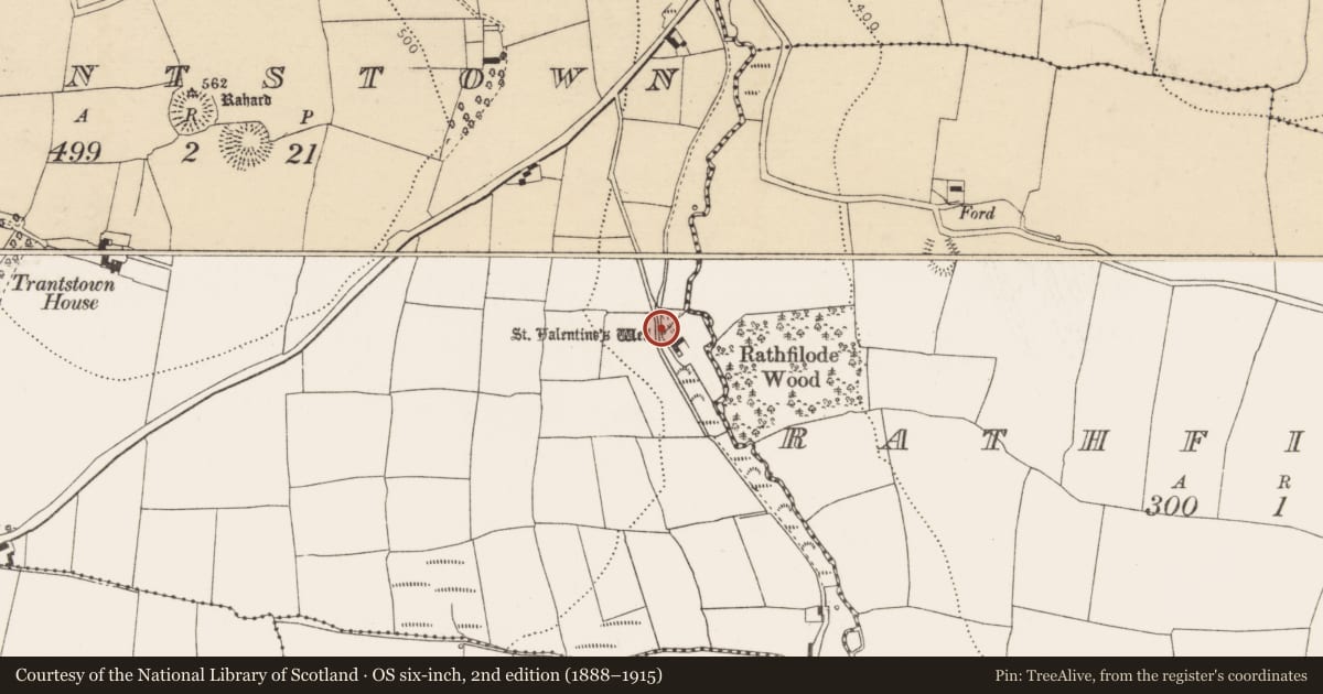 Ordnance Survey six-inch map, 2nd edition (1888–1915) covering the location of Ritual site - holy well, Trantstown, County Cork, with a pin at the register's coordinates