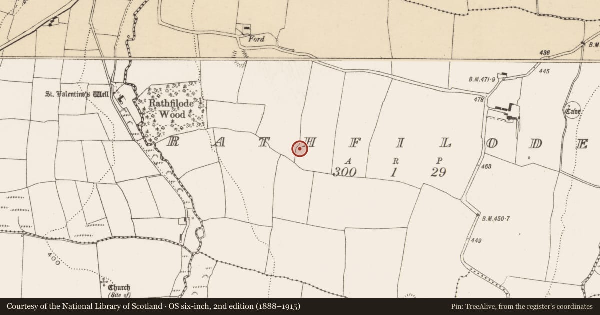 Ordnance Survey six-inch map, 2nd edition (1888–1915) covering the location of Ringfort - rath, Rathfilode, County Cork, with a pin at the register's coordinates