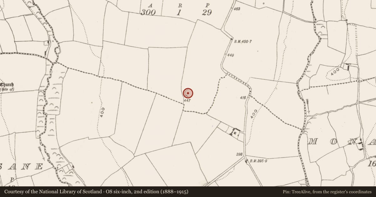 Ordnance Survey six-inch map, 2nd edition (1888–1915) covering the location of Ringfort - rath, Rathfilode, County Cork, with a pin at the register's coordinates