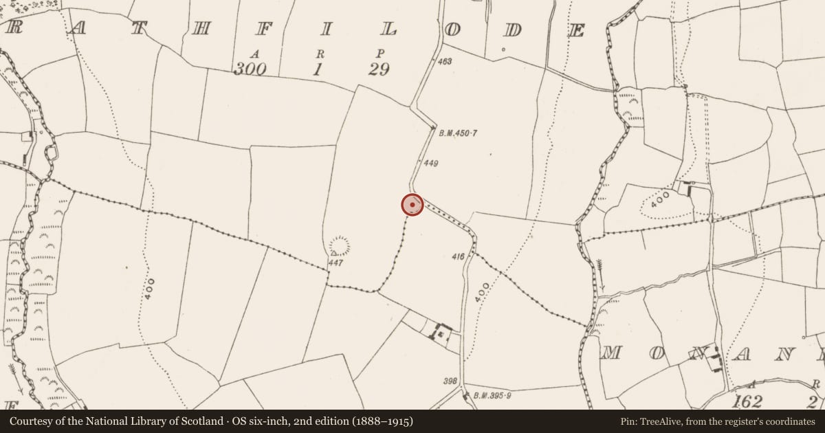 Ordnance Survey six-inch map, 2nd edition (1888–1915) covering the location of Ringfort - rath, Rathfilode, County Cork, with a pin at the register's coordinates