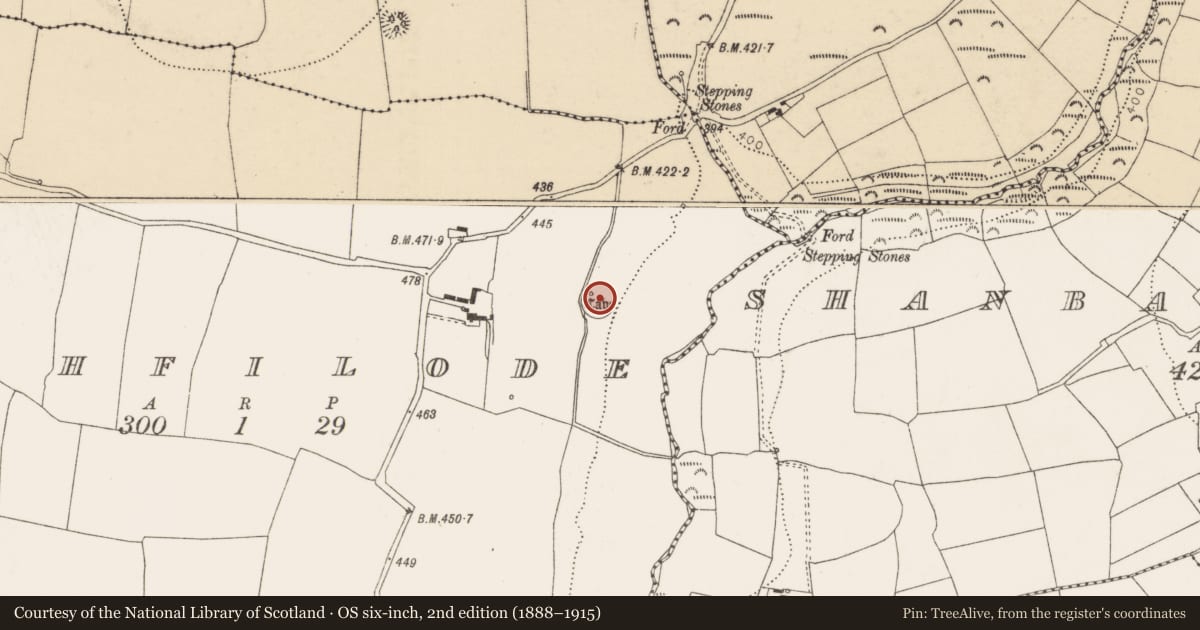 Ordnance Survey six-inch map, 2nd edition (1888–1915) covering the location of Ringfort - rath, Rathfilode, County Cork, with a pin at the register's coordinates
