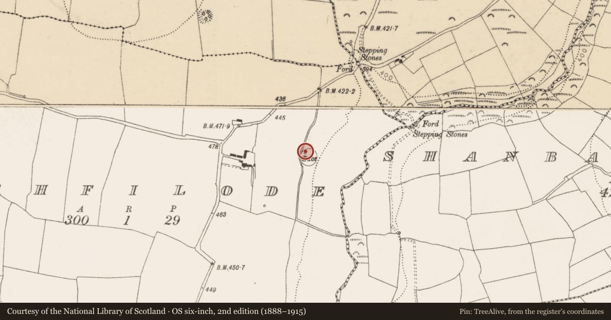 Ordnance Survey six-inch map, 2nd edition (1888–1915) covering the location of Souterrain, Rathfilode, County Cork, with a pin at the register's coordinates