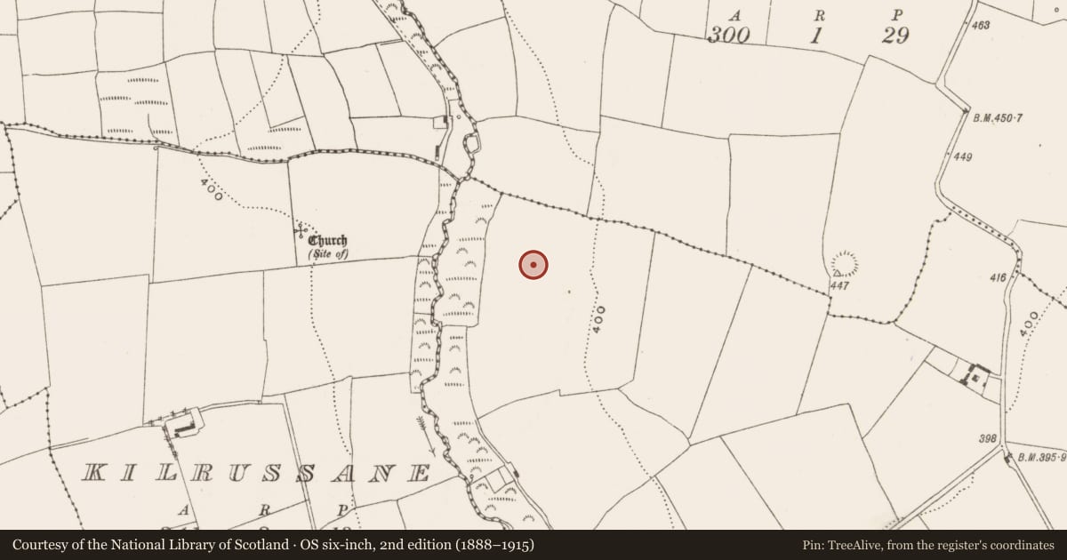 Ordnance Survey six-inch map, 2nd edition (1888–1915) covering the location of Ringfort - rath, Coolguerisk, County Cork, with a pin at the register's coordinates