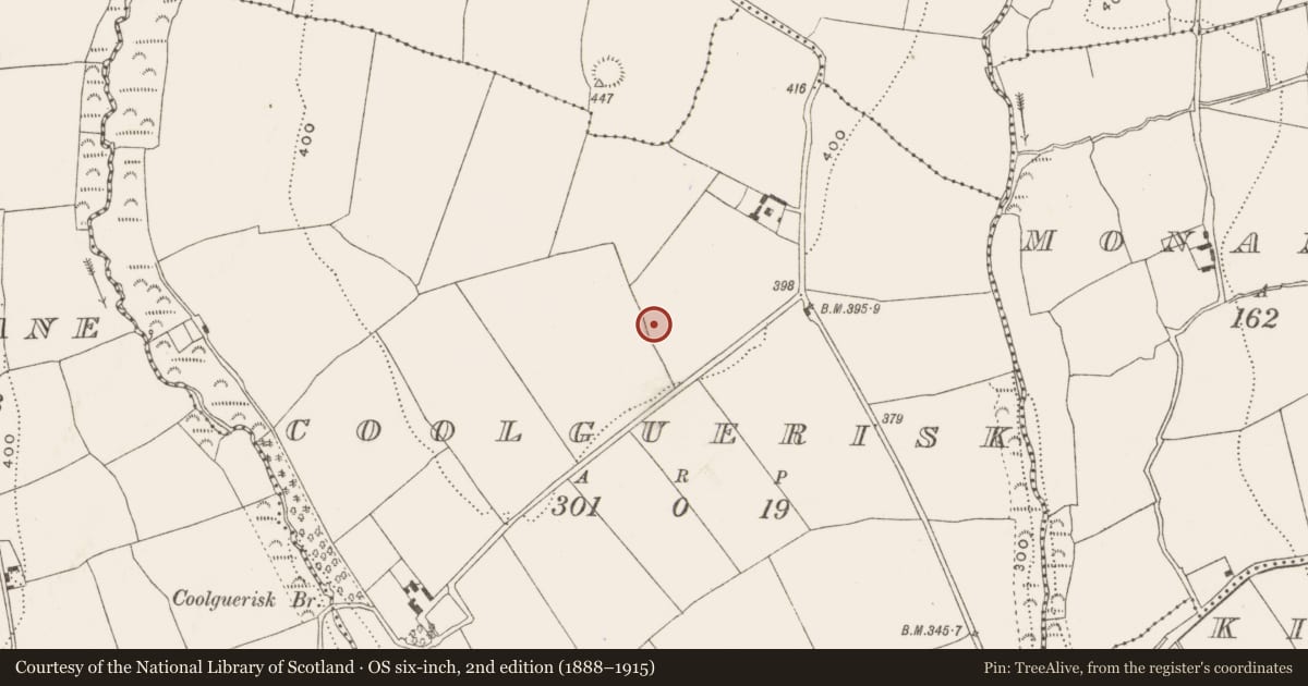 Ordnance Survey six-inch map, 2nd edition (1888–1915) covering the location of Enclosure, Coolguerisk, County Cork, with a pin at the register's coordinates
