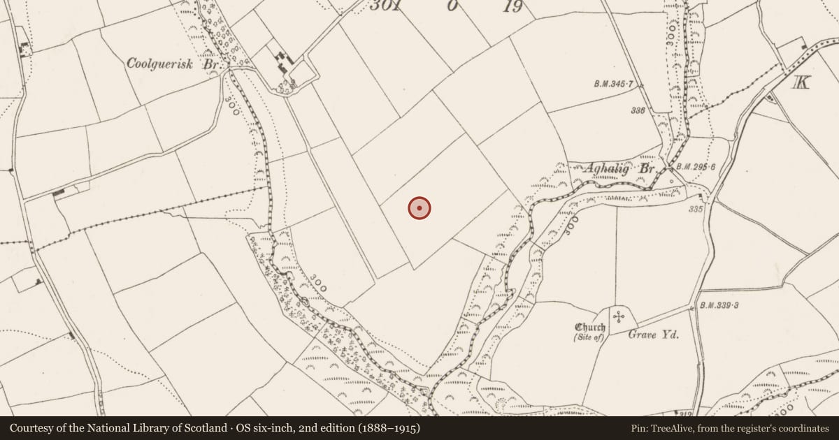 Ordnance Survey six-inch map, 2nd edition (1888–1915) covering the location of Enclosure, Coolguerisk, County Cork, with a pin at the register's coordinates