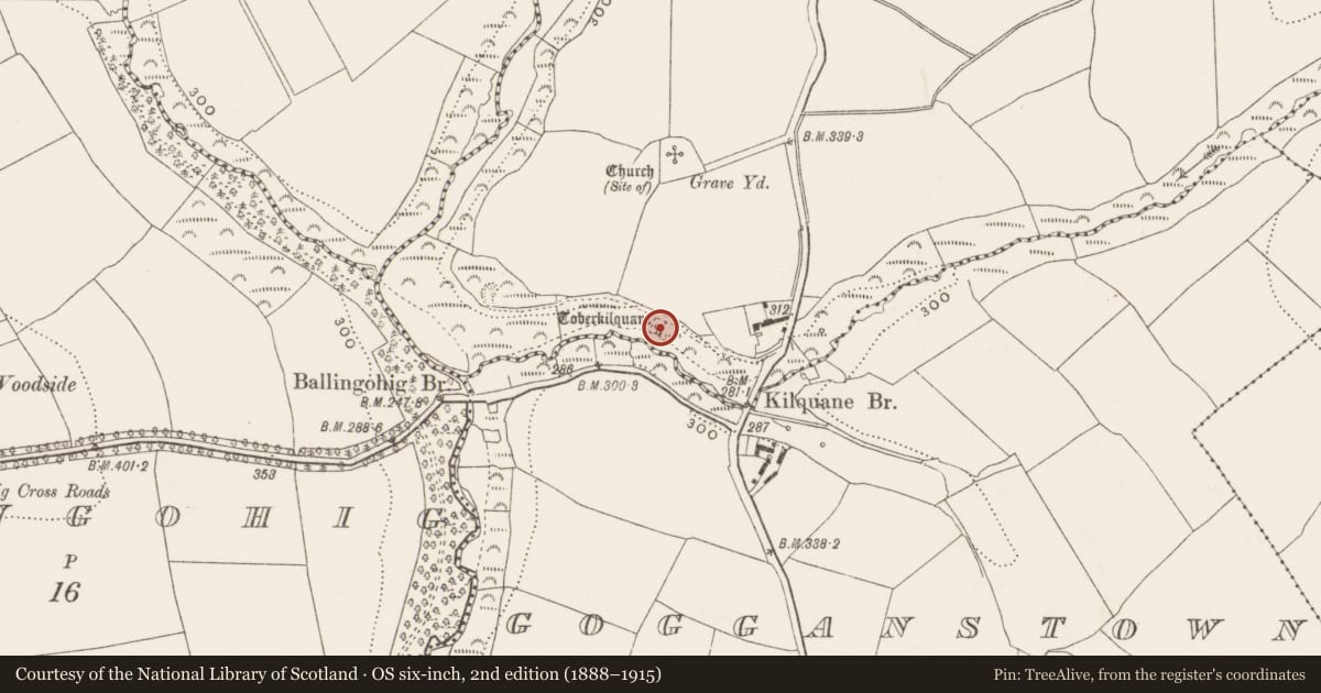 Ordnance Survey six-inch map, 2nd edition (1888–1915) covering the location of Ritual site - holy well, Kilquane, County Cork, with a pin at the register's coordinates