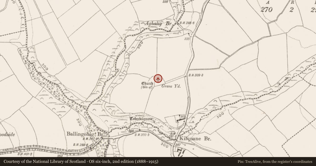 Ordnance Survey six-inch map, 2nd edition (1888–1915) covering the location of Church, Kilquane, County Cork, with a pin at the register's coordinates