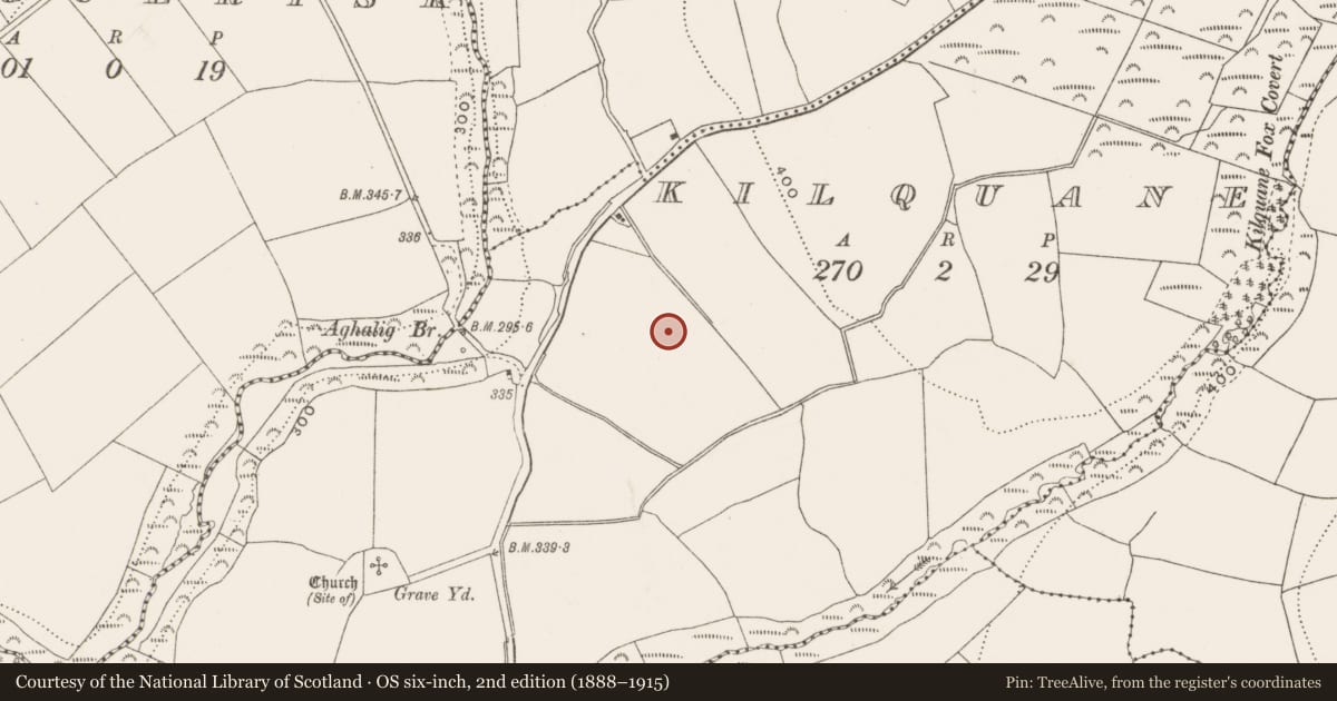 Ordnance Survey six-inch map, 2nd edition (1888–1915) covering the location of Standing stone, Kilquane, County Cork, with a pin at the register's coordinates
