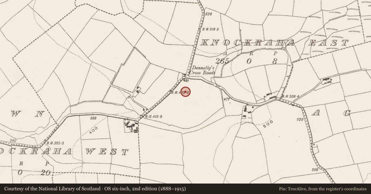 Ordnance Survey six-inch map, 2nd edition (1888–1915) covering the location of Ringfort - rath, Knockraha East, County Cork, with a pin at the register's coordinates