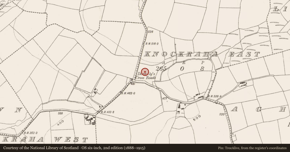 Ordnance Survey six-inch map, 2nd edition (1888–1915) covering the location of Enclosure, Knockraha East, County Cork, with a pin at the register's coordinates